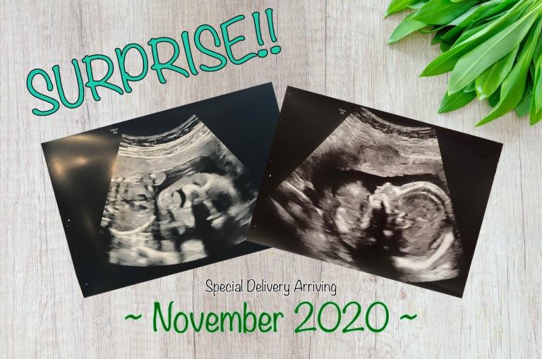 baby 2020 announcement